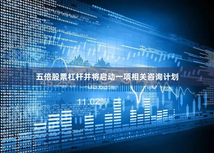 五倍股票杠杆并将启动一项相关咨询计划