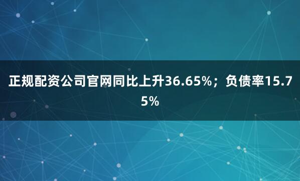 正规配资公司官网同比上升36.65%；负债率15.75%