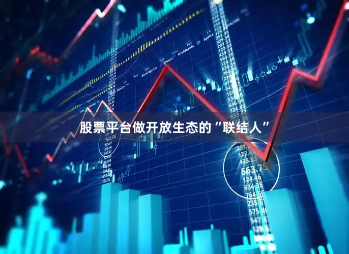 股票平台做开放生态的“联结人”