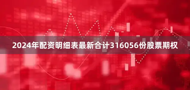 2024年配资明细表最新合计316056份股票期权