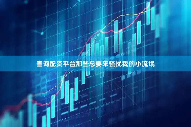 查询配资平台那些总要来骚扰我的小流氓