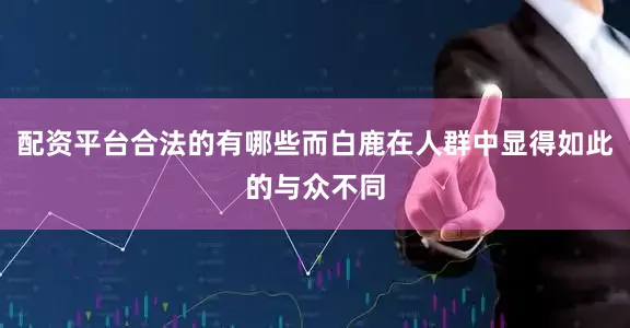 配资平台合法的有哪些而白鹿在人群中显得如此的与众不同