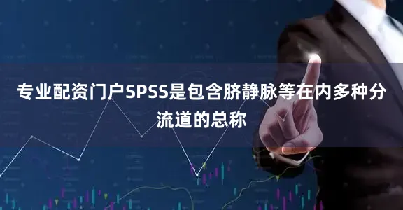 专业配资门户SPSS是包含脐静脉等在内多种分流道的总称