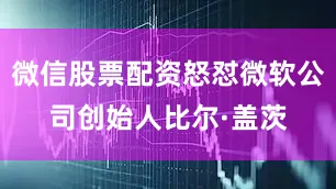 微信股票配资怒怼微软公司创始人比尔·盖茨